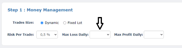 Max Loss Daily